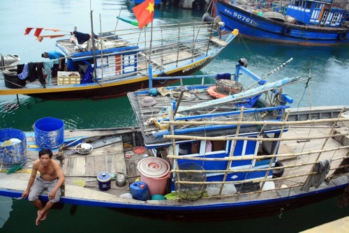 Ngư dân Đà Nẵng bị ảnh hưởng sự cố môi trường biển miền Trung được hỗ trợ gần 1,9 tỷ đồng - ảnh 1
